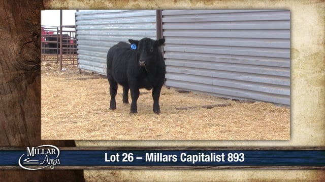 Lot #26 - MILLARS CAPITALIST 893