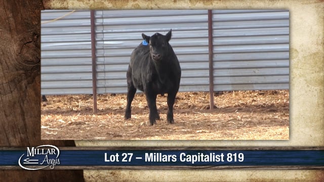 Lot #27 - MILLARS CAPITALIST 819