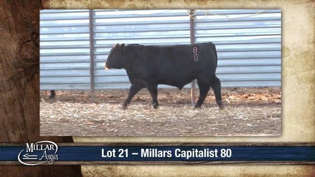 Lot #21 - MILLARS CAPITALIST 80
