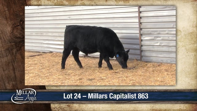 Lot #24 - MILLARS CAPITALIST 863