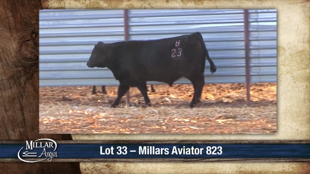 Lot #33 - MILLARS AVIATOR 823