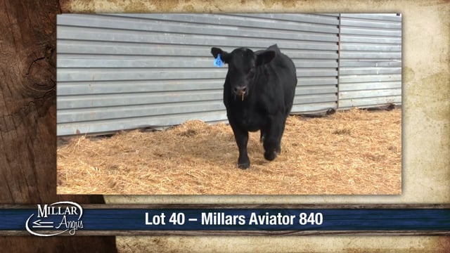 Lot #40 - MILLARS AVIATOR 840
