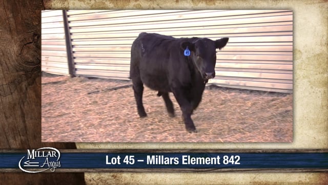 Lot #45 - MILLARS ELEMENT 842