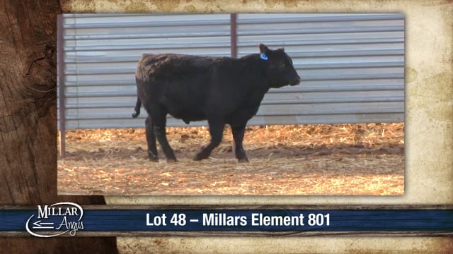 Lot #48 - MILLARS ELEMENT 801