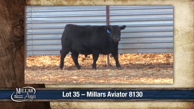 Lot #35 - MILLARS AVIATOR 8130