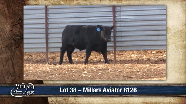 Lot #38 - MILLARS AVIATOR 8126