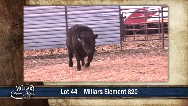 Lot #44 - MILLARS ELEMENT 820