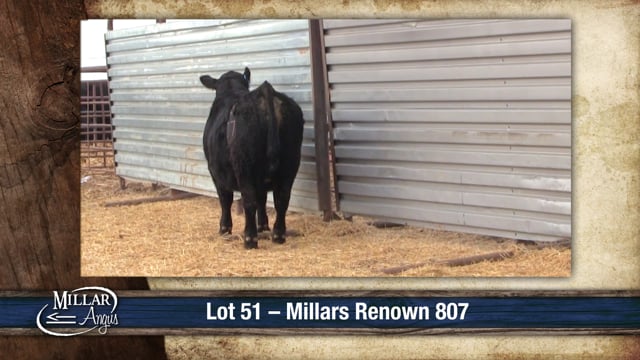 Lot #51 - MILLARS RENOWN 807