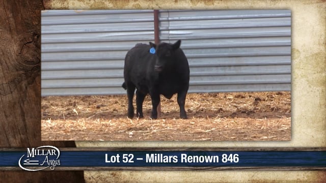 Lot #52 - MILLARS RENOWN 846
