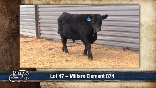 Lot #47 - MILLARS ELEMENT 874