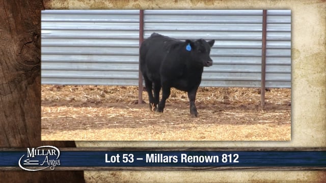 Lot #53 - MILLARS RENOWN 812