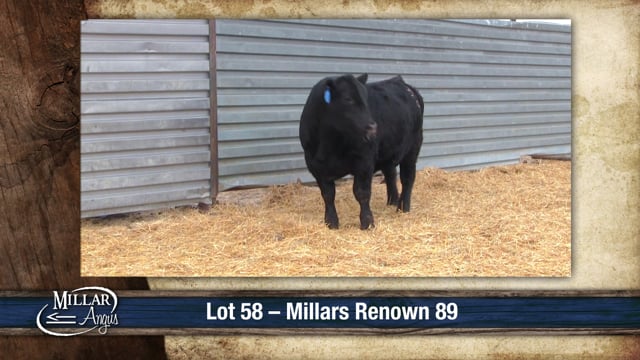 Lot #58 - MILLARS RENOWN 89