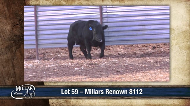 Lot #59 - MILLARS RENOWN 8112