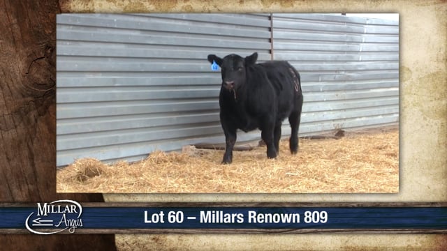 Lot #60 - MILLARS RENOWN 809