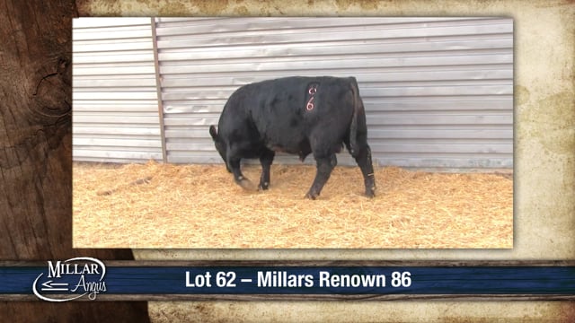Lot #62 - MILLARS RENOWN 86