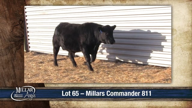 Lot #65 - MILLARS COMMANDER 811