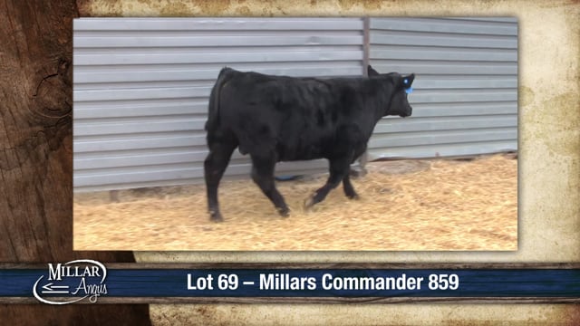 Lot #69 - MILLARS COMMANDER 859