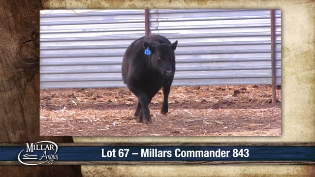 Lot #67 - MILLARS COMMANDER 843