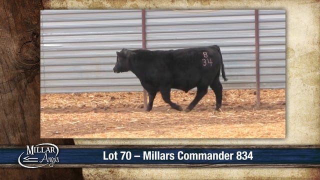 Lot #70 - MILLARS COMMANDER 834