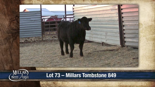 Lot #73 - MILLARS TOMBSTONE 849