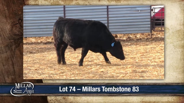 Lot #74 - MILLARS TOMBSTONE 83