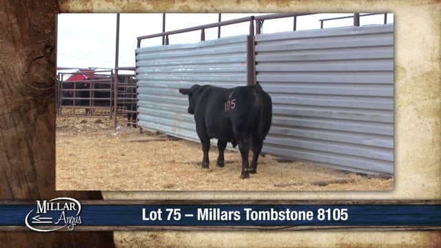 Lot #75 - MILLARS TOMBSTONE 8105