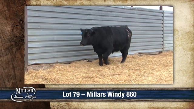 Lot #79 - MILLARS WINDY 860