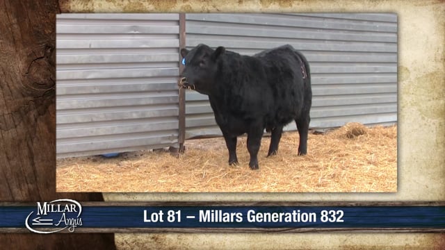 Lot #81 - MILLARS GENERATION 832