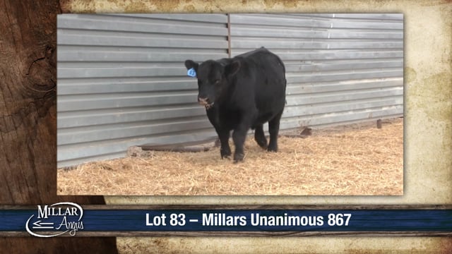 Lot #83 - MILLARS UNANIMOUS 867