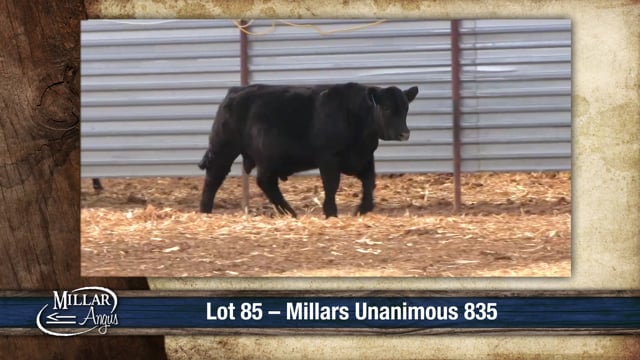 Lot #85 - MILLARS UNANIMOUS 835