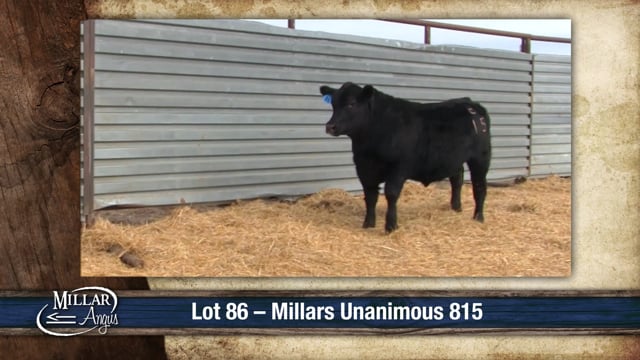 Lot #86 - MILLARS UNANIMOUS 815