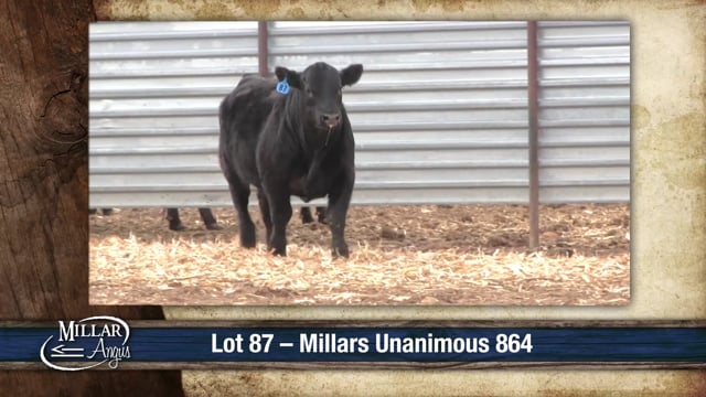 Lot #87 - MILLARS UNANIMOUS 864