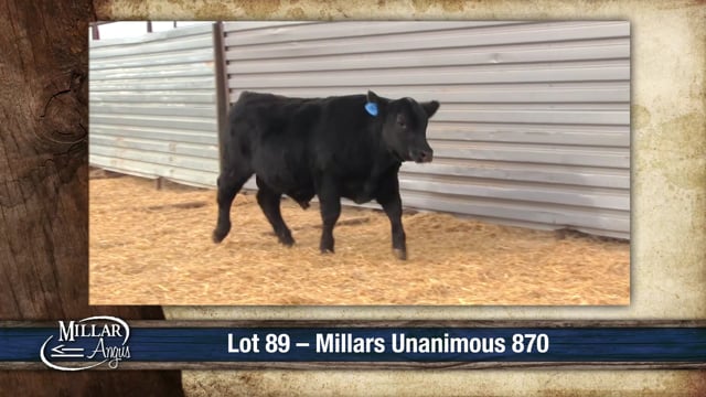 Lot #89 - MILLARS UNANIMOUS 870