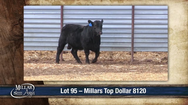 Lot #95 - MILLARS TOP DOLLAR 8120