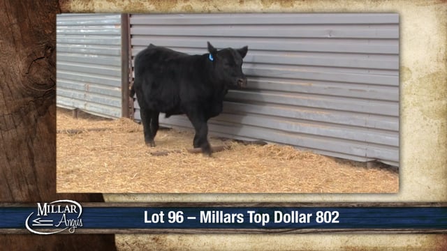 Lot #96 - MILLARS TOP DOLLAR 802