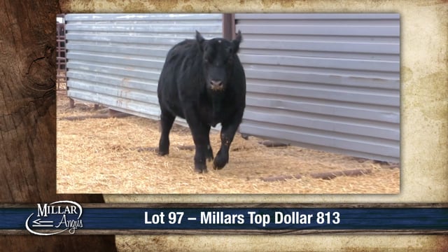 Lot #97 - MILLARS TOP DOLLAR 813