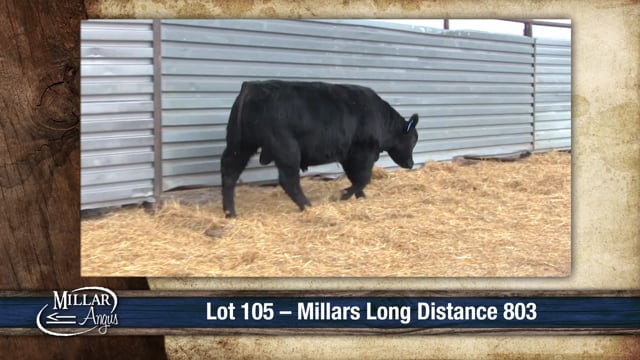 Lot #105 - MILLARS LONG DISTANCE 803