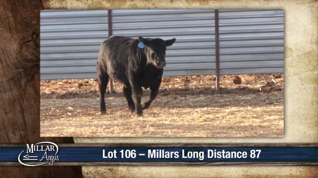Lot #106 - MILLARS LONG DISTANCE 87