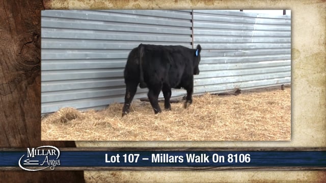 Lot #107 - MILLARS WALK ON 8106