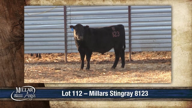 Lot #112 - MILLARS STINGRAY 8123
