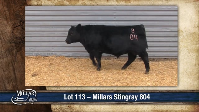 Lot #113 - MILLARS STINGRAY 804