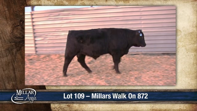 Lot #109 - MILLARS WALK ON 872