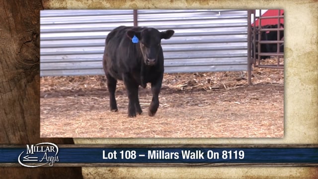 Lot #108 - MILLARS WALK ON 8119