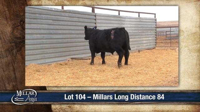 Lot #104 - MILLARS LONG DISTANCE 84