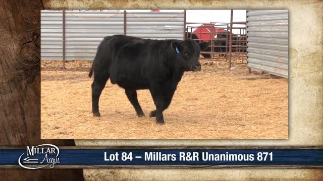 Lot #84 - MILLARS R&R UNANIMOUS 871