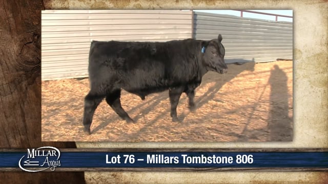 Lot #76 - MILLARS TOMBSTONE 806