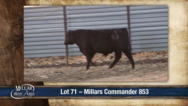 Lot #71 - MILLARS COMMANDER 853