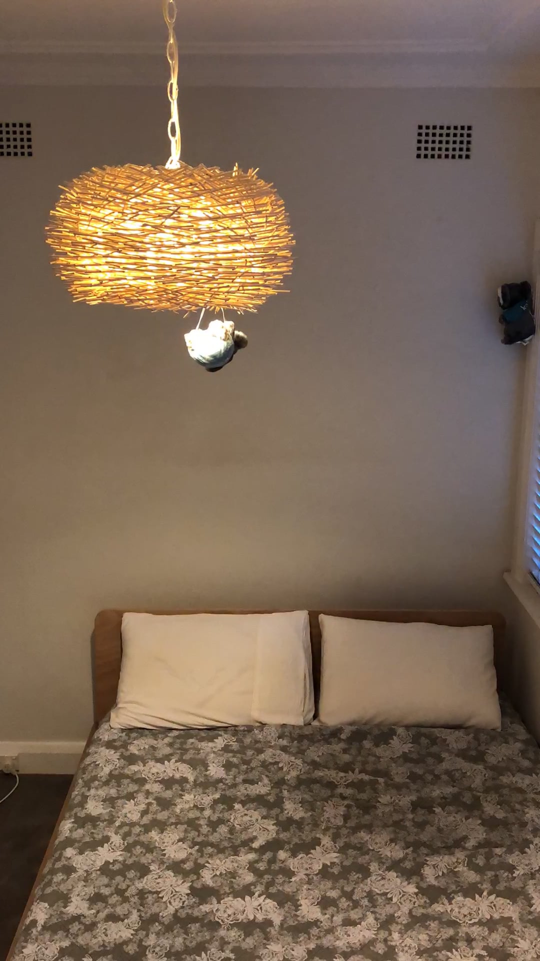 Koala bed setup; time lapse on Vimeo