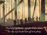Vietnamese Subtitling United Nations