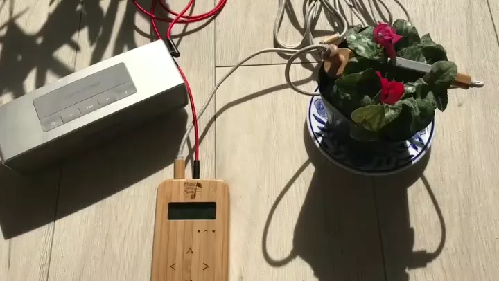 Music of the Plants 【Bamboo Mタイプ】 植物の音楽デバイス